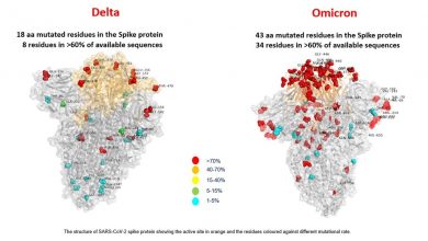 Photo of Primeira imagem da variante Ômicron em representação computadorizada revela mais que o dobro de mutações que a Delta.