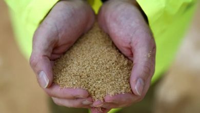 Photo of Preços dos alimentos sobem em novembro e seguem na máxima de 10 anos, diz FAO