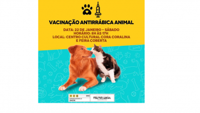 Photo of Campanha de vacinação antirrábica animal