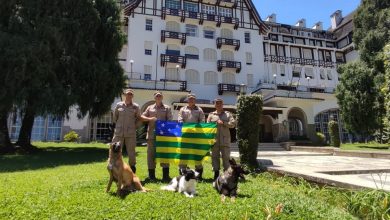 Photo of Bombeiros de Goiás retornam para Anápolis após operação em Petrópolis (RJ)