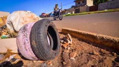 Photo of Goiânia lidera lista de óbitos por dengue em Goiás – outras 5 cidades registram mortes