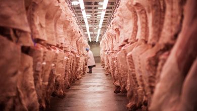 Photo of Produtores rurais de Mozarlândia e região têm prejuízo após China suspender importação de carne bovina