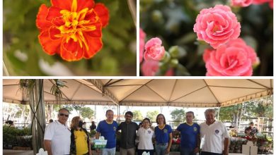 Photo of 2ª Feira das Flores de Holambra na Praça Castelo Branco