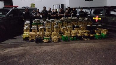 Photo of Policia apreende 2 toneladas de maconha em Itajá (GO)