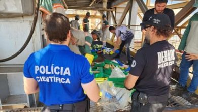 Photo of Polícia manda para o incinerador três toneladas de drogas apreendidas em Goiás