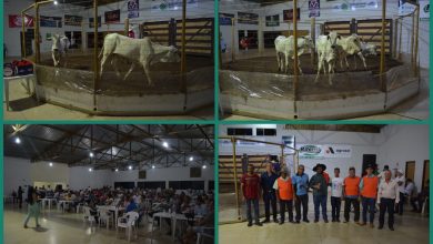 Photo of 46º Leilão Beneficente em Itapuranga arrecada valores para Lar São Vicente de Paulo