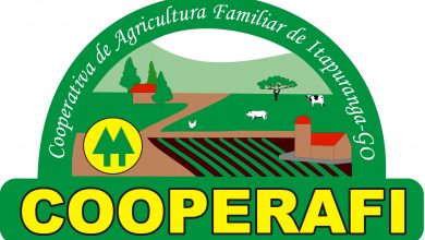 Photo of Cooperafi: Um exemplo de sucesso no Cooperativismo Agrícola em Itapuranga