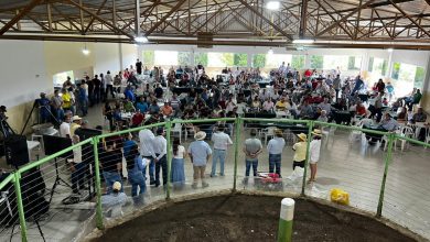 Photo of Leilão Beneficente em Itapuranga arrecada mais de R$ 200 mil para pavimentação da GO-429